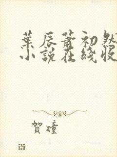 叶辰萧初然有声小说在线收听封面