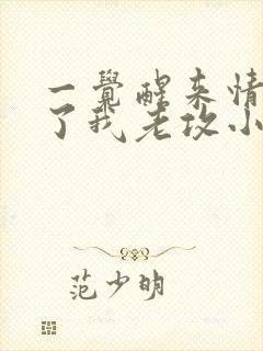 一觉醒来情敌成了我老攻小说免费阅读封面