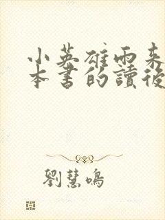 小英雄雨来的这本书的读后感封面