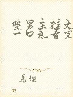 双男主推文小说一口气看完封面