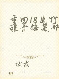 重回18岁竹马酿青梅是哪部小说封面