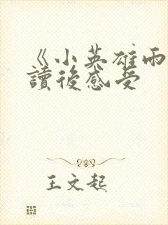 《小英雄雨来》读后感受