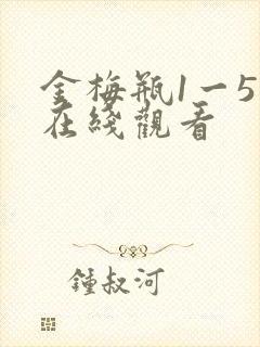 金梅瓶1一5集在线观看