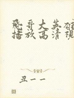 飞哥大英雄免费播放高清视频封面