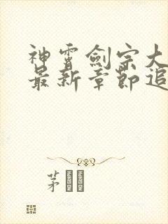 神霄剑宗大师兄最新章节追杀