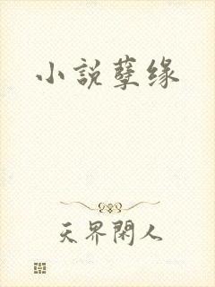 小说孽缘
