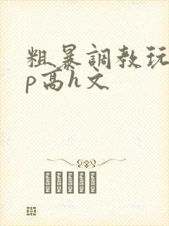 粗暴调教玩弄np高h文