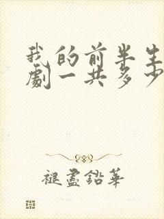 我的前半生电视剧一共多少集