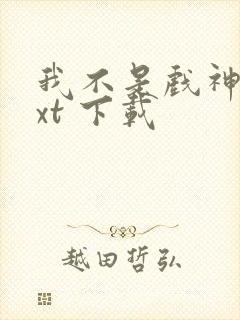 我不是戏神 txt 下载