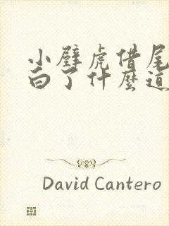 小壁虎借尾巴明白了什么道理封面