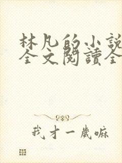 林凡的小说免费全文阅读全文