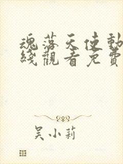 魂落天使动漫在线观看免费