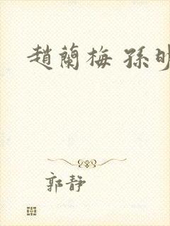 赵兰梅 孙明封面