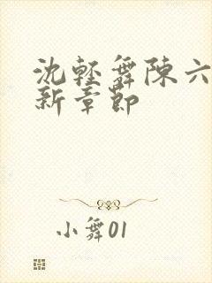 沈轻舞陈六何最新章节