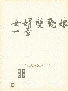 女婿双飞娘俩第一章