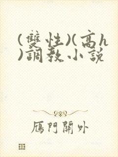 (双性)(高h)调教小说