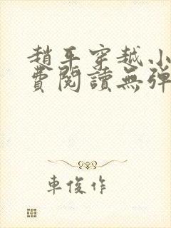 赵平穿越小说免费阅读无弹窗