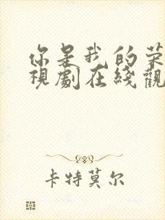 你是我的荣耀电视剧在线观看免费