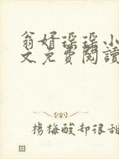 翁婿瑶瑶小说全文免费阅读最新章节