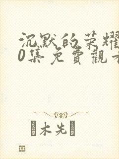 沉默的荣耀第40集免费观看