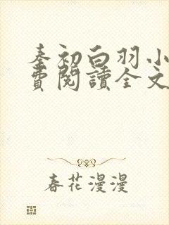 秦初白羽小说免费阅读全文无弹窗封面