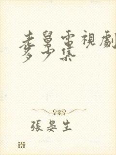 老舅电视剧一共多少集