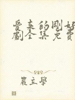 爱来的刚好电视剧全集免费