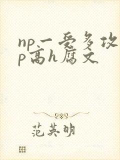 np一受多攻np高h腐文