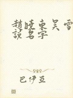 赵晓东吴雪晴小说名字