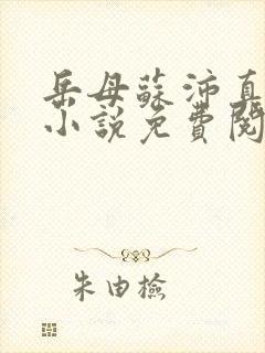 岳母苏沛真离婚小说免费阅读封面