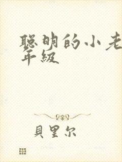 聪明的小老鼠二年级