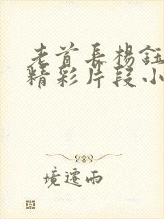 老首长杨钰莹的精彩片段小说