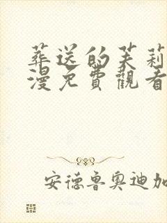 葬送的芙莉莲动漫免费观看国语版