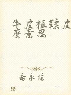 牛皮植鞣皮是什么意思