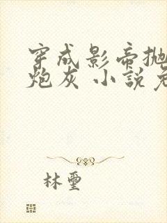 穿成影帝抛弃的炮灰 小说免费阅读封面