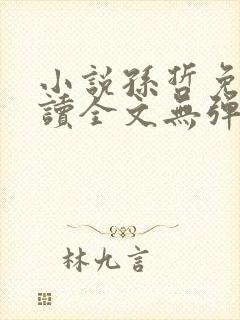 小说孙哲免费阅读全文无弹窗