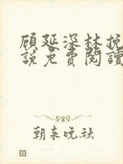 顾延深林挽音小说免费阅读最新章节