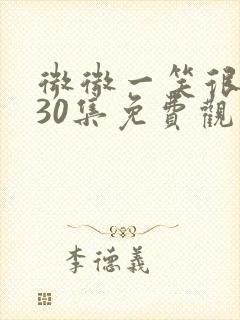 微微一笑很倾城30集免费观看全集