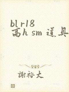 bl r18 高h sm 道具 文