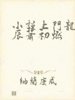 小说上门龙婿叶辰萧初燃