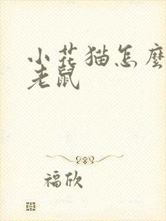 小花猫怎么样捉老鼠