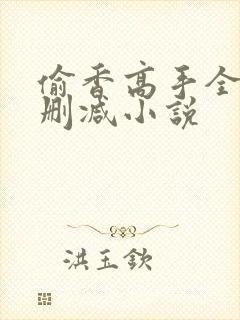 偷香高手全文无删减小说封面