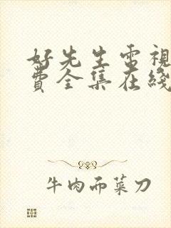 好先生电视剧免费全集在线观看