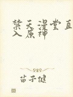 禁天漫堂直接进入原神