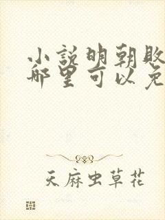 小说明朝败家子哪里可以免费阅读