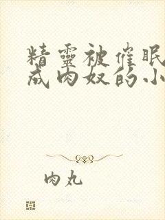 精灵被催眠调教成肉奴的小说封面