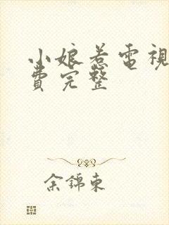 小娘惹电视剧免费完整封面