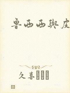 鲁西西与皮皮鲁封面