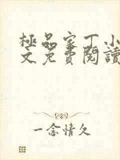 极品家丁小说全文免费阅读笔趣阁