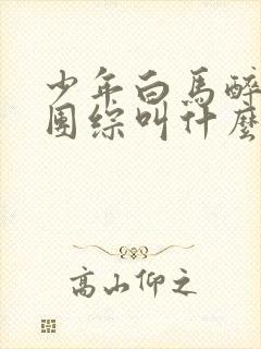 少年白马醉春风团综叫什么封面